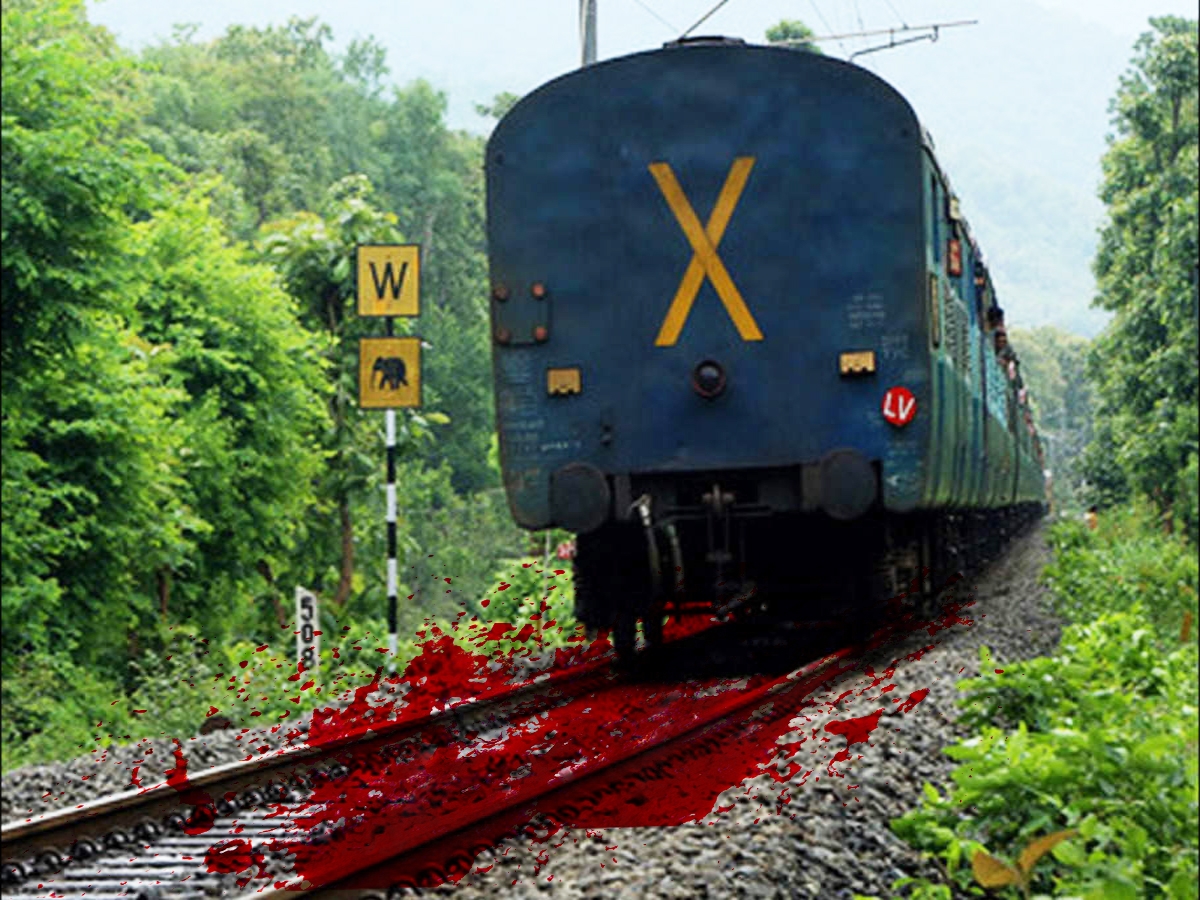  Goods Train Wagons Run Over Eight Workers In Odisha, Six Killed (lead)-TeluguStop.com