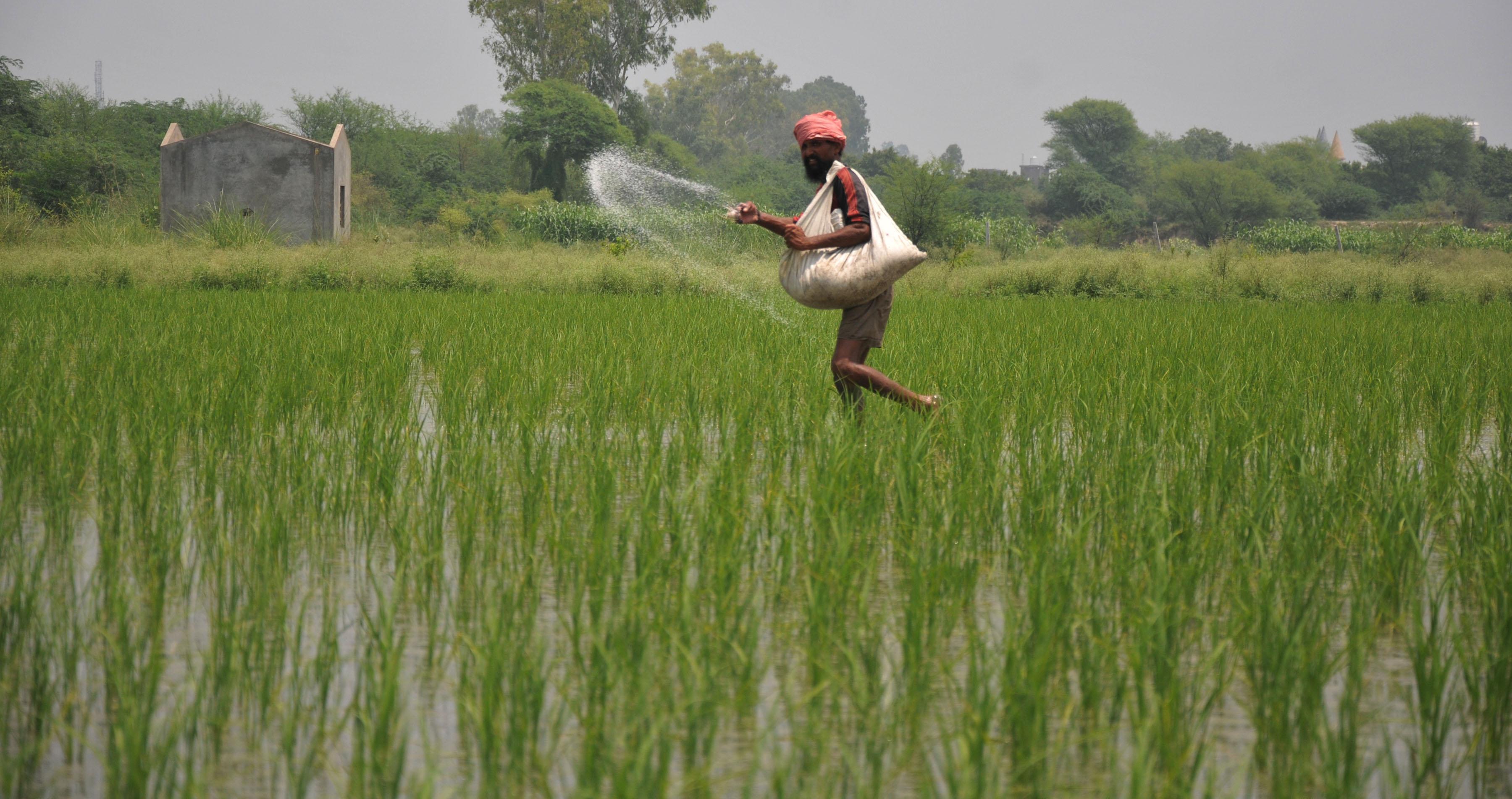  Govt To Push Alternative Plant Nutrients To Cut Fertiliser Subsidy Load By 50%-TeluguStop.com