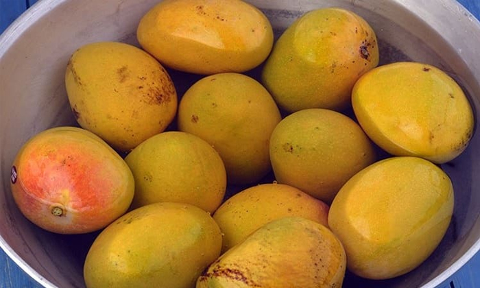 Telugu Diabetes, Mangoes, Tips, Insulin, Mangoes Pimples, Pimples, Sabja Seeds,