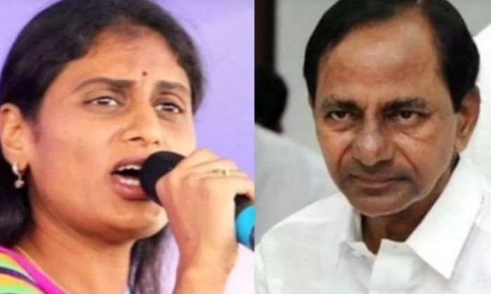 Telugu Chandrababu, Karnataka, Sharmila, Telangana-Telugu Political News