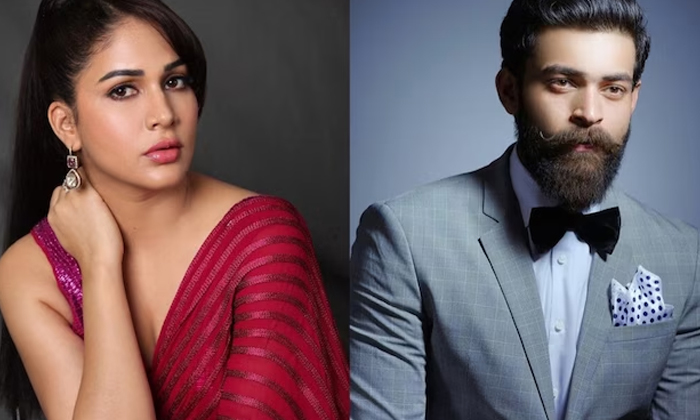 Telugu Bee, Lavanya, Nagababu, Varun Tej-Movie