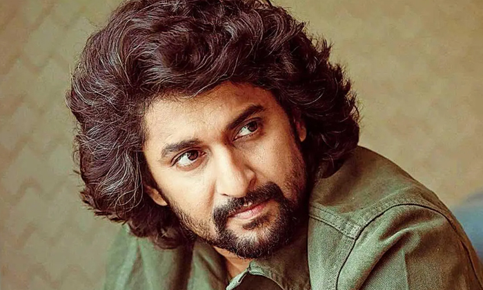 Telugu Nani-Movie Telugu Nani-Movie