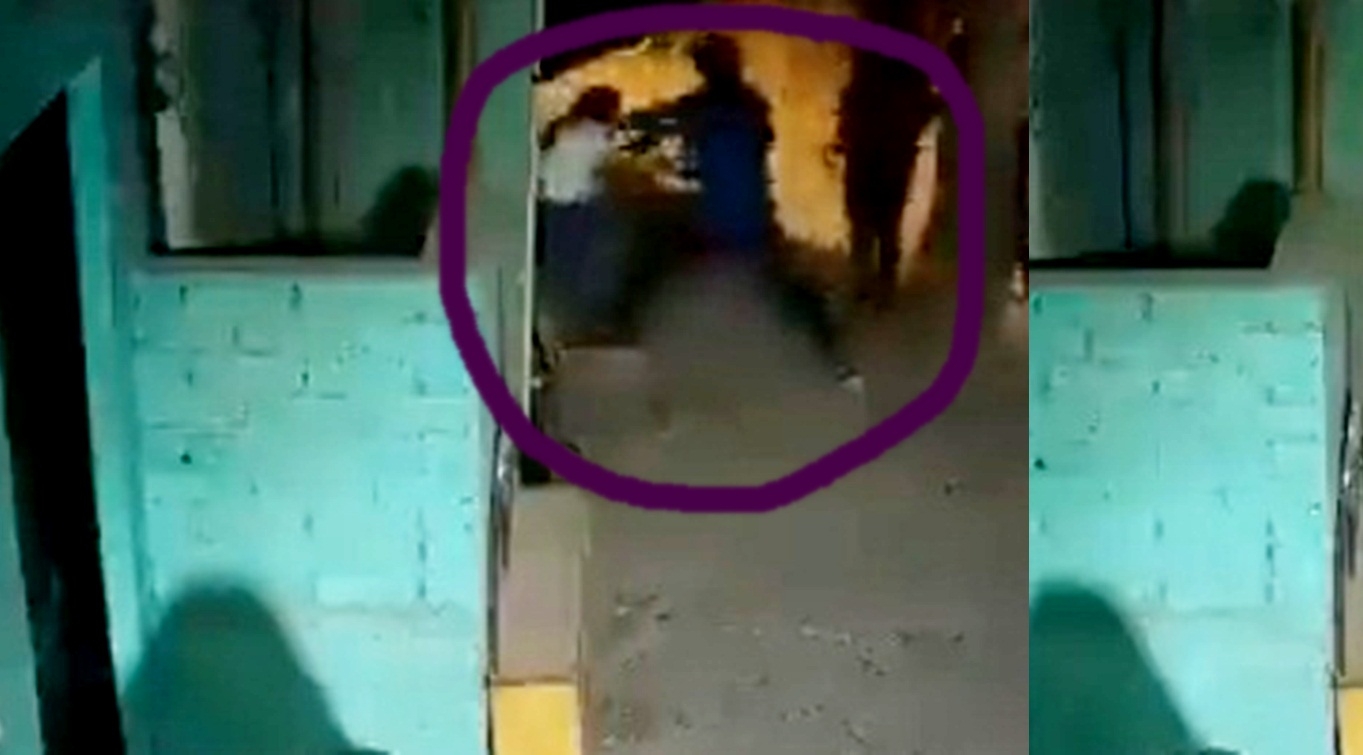  Shahbad Dairy Murder: 'girl's Skill Broken Into Pieces', Says Autopsy Report-TeluguStop.com