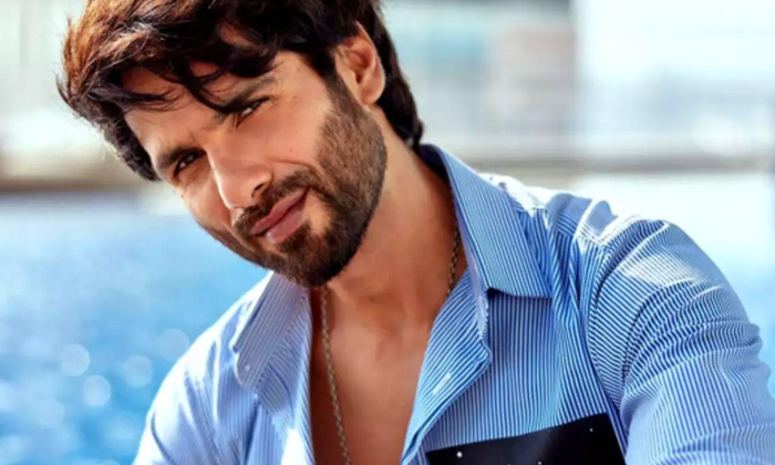 Shahid Kapoor Wants To Do South Movies If He Got The Chance , Bolly Wood Star He Shahid Kapoor Wants To Do South Movies If He Got The Chance , Bolly Wood Star He-TeluguStop.com