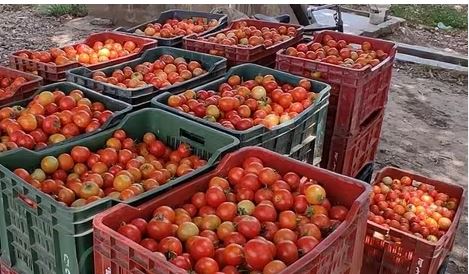  Increased Prices Of Vegetables.. Sky High Price Of Tomato..!!-TeluguStop.com