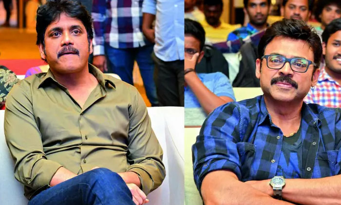  Venkatesh Should Have Done Shivamanis Film Before Akkineni Nagarjuna How Did He-TeluguStop.com