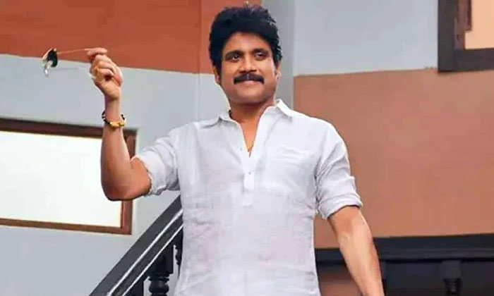 Telugu Flim, Ghost, Nagarjuna, Netflix, Tollywood, Web-Movie