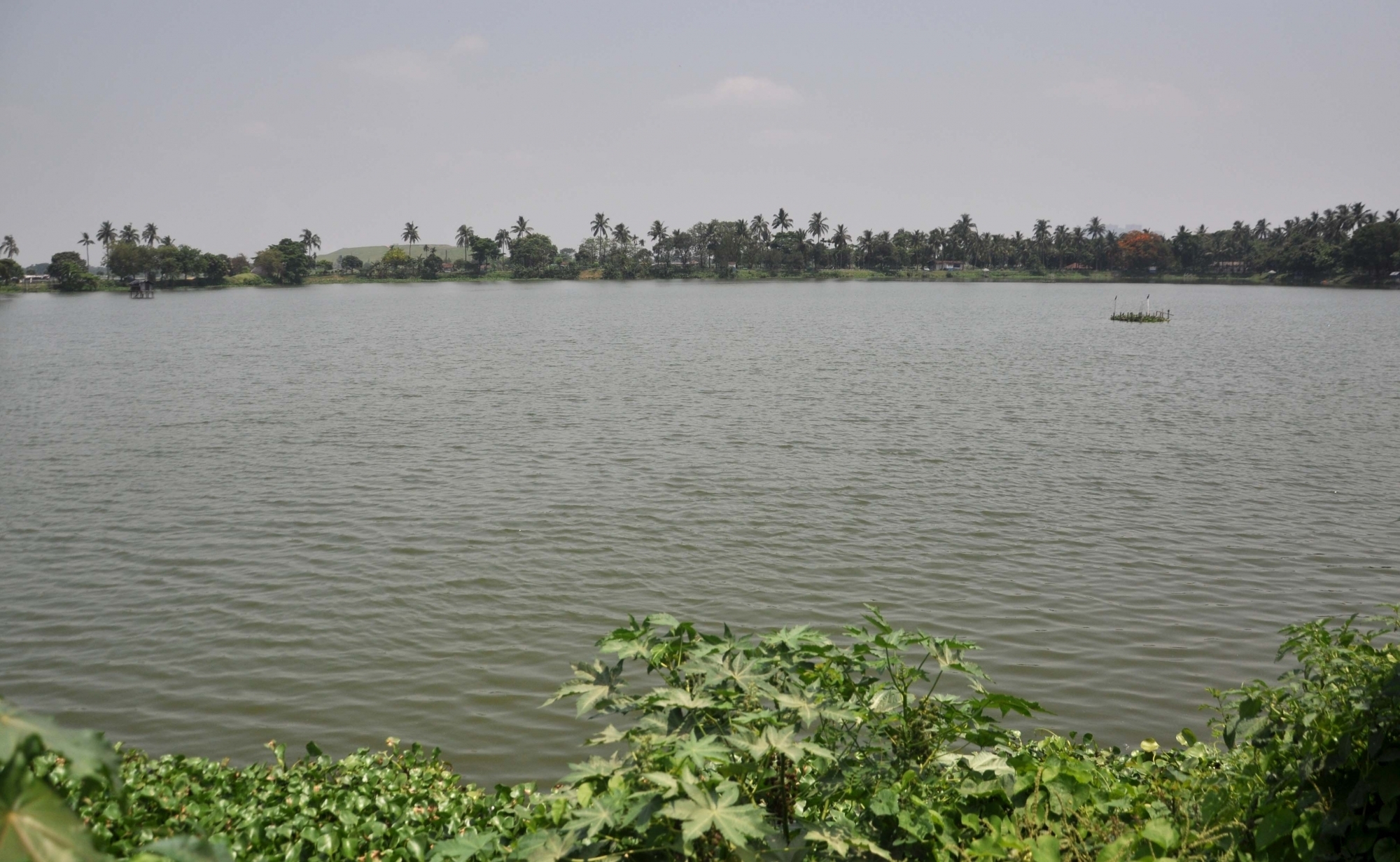  Wetlands In Up District To Be Developed For Sarus Consevartion-TeluguStop.com