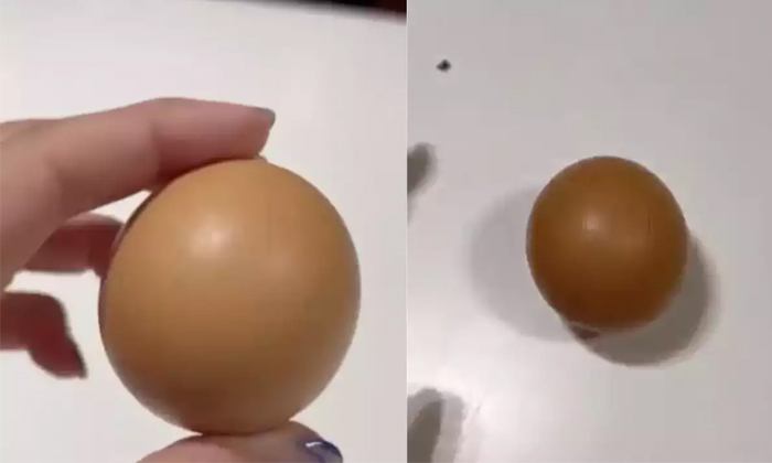  Woman Finds Perfectly Round Egg Sold To A Record Price In Auction Details, Round-TeluguStop.com