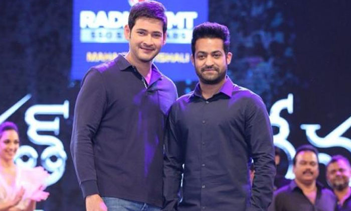  Young Tiger Ntr Comments About Lady Fans  Details Here Goes Viral , Young Tiger-TeluguStop.com