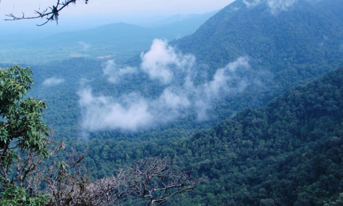 Telugu Adventure, Agumbe, Athirapally, Cherrapunji, Dzkou Valley, India, Karnata