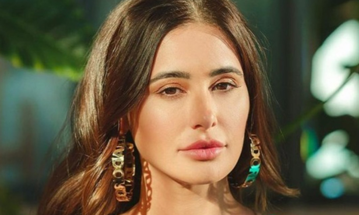 Telugu Bollywood, Nargis Fakhri, Tollywood-Movie