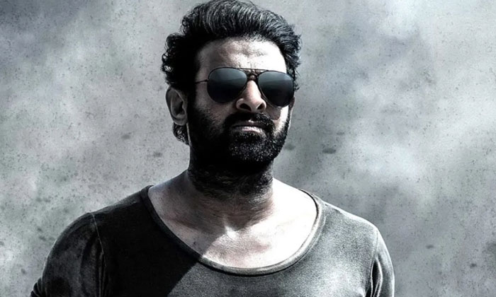  Salar Trailer In August This Time The Massacre Will Not Be Ordinary-TeluguStop.com