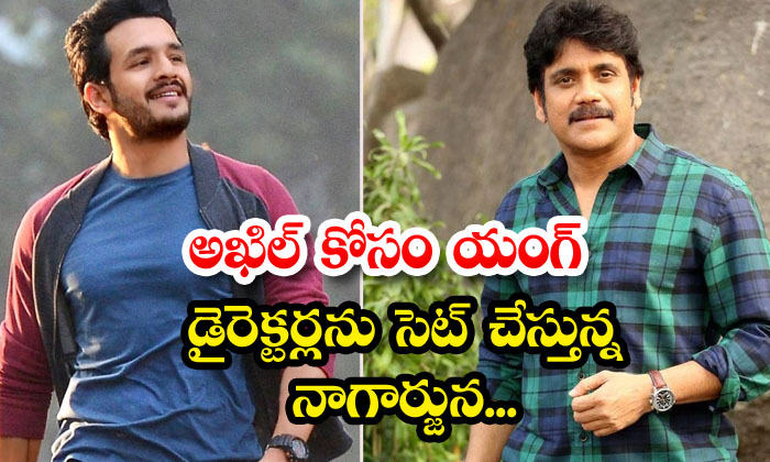 Nagarjuna Is Setting Up Young Directors For Akhil, Akhil Akkineni, Nagarjuna, Da Nagarjuna Is Setting Up Young Directors For Akhil, Akhil Akkineni, Nagarjuna, Da-TeluguStop.com