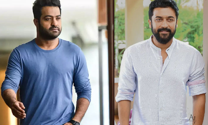  Aditya Chopra's War 2 Jr Ntr And Hrithik Roshan Film, War 2, Jr Ntr, Ayan Muke-TeluguStop.com