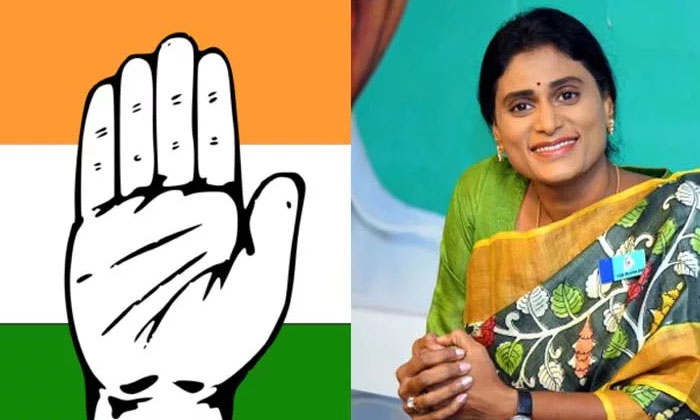 Rahul Gandhi Comments On Ys Sharmila, , Telangana Congress, Ysrtp, Ys Sharmila Rahul Gandhi Comments On Ys Sharmila, , Telangana Congress, Ysrtp, Ys Sharmila-TeluguStop.com