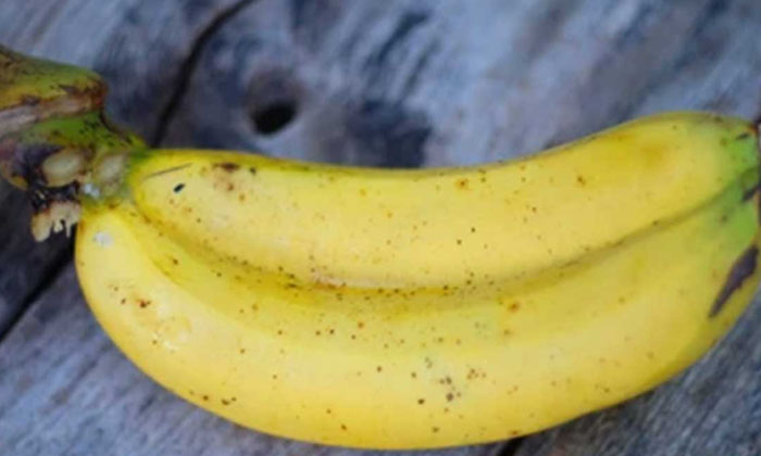 Will Twins Be Born If A Couple Eats Bananas , Bananas, Pregnant Woman, Twins, S Will Twins Be Born If A Couple Eats Bananas , Bananas, Pregnant Woman, Twins, S-TeluguStop.com