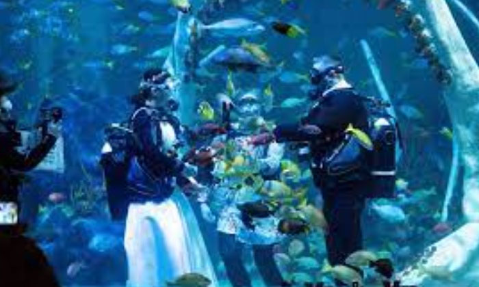 Telugu Latest, Weird Trend-Latest News - Telugu Telugu Latest, Weird Trend-Latest News - Telugu