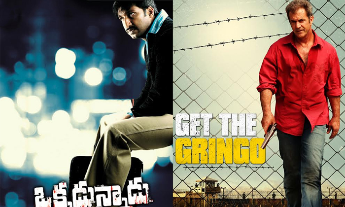 Telugu Abhay, Forrest Gump, Gringo, Gulabi, Hollywood, Okkadunnadu, Swatimuthyam