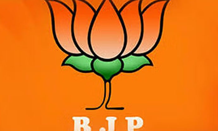  If You Do That Is It A Profit For Bjp , Bjp, Congress, Parliament Elections, Jem-TeluguStop.com