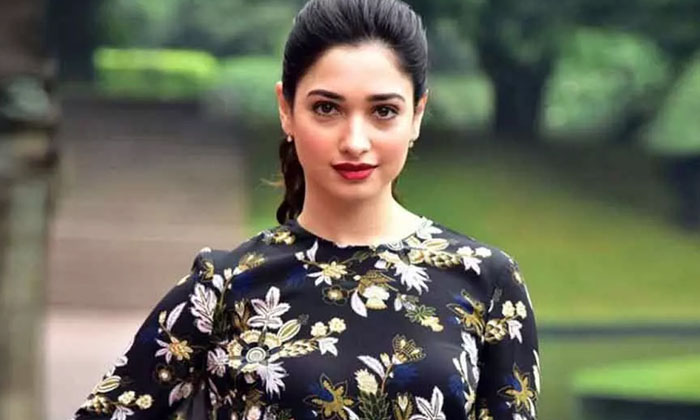  Milky Buty Tamannaah Remuneration For New Films , Kajal Aggarwal , Social Media,-TeluguStop.com