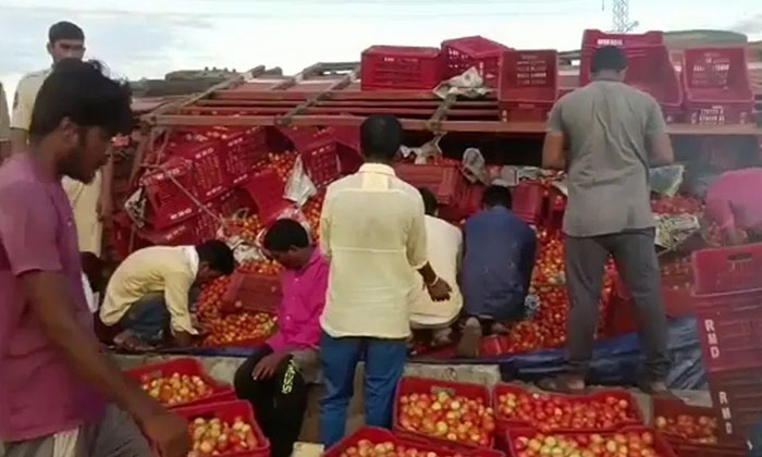  Tomato Lorry Overturned In Komarambhim District Accident, Komarambhim District,-TeluguStop.com