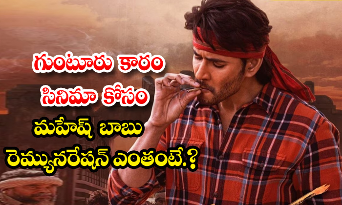  Mahesh Babu Remuneration For Guntur Karam,mahesh Babu,guntur Karam,mahesh Babu R-TeluguStop.com