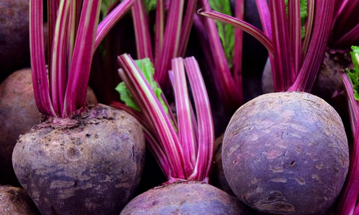  Method Of Cultivation Of Beet Root Crop Plant Care Methods , Cold Weather, Beet-TeluguStop.com