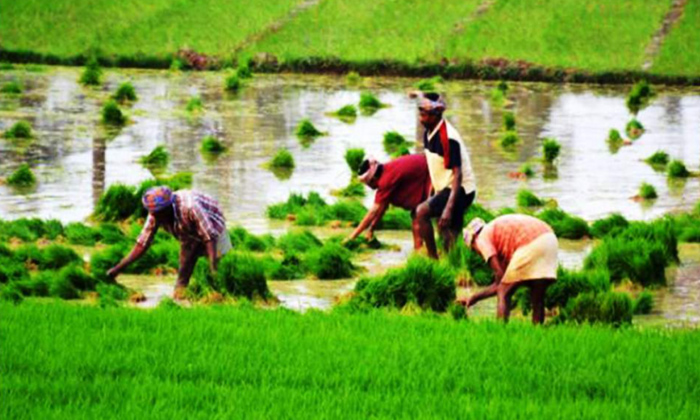  Best Modern Methods Of Irrigation,irrigation,irrigation Methods,agriculture,furr-TeluguStop.com