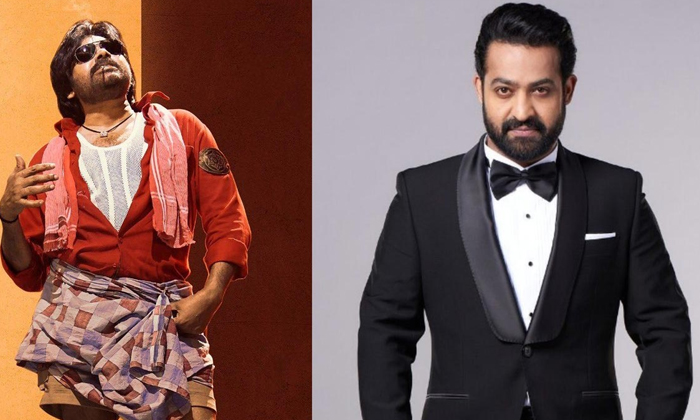 Telugu Ntr Fans, Pawan Fans, Pawan Kalyan, Tollywood-Movie Telugu Ntr Fans, Pawan Fans, Pawan Kalyan, Tollywood-Movie