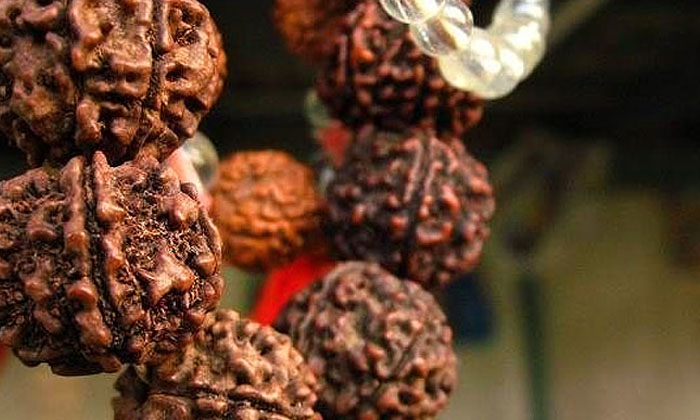  If You Keep These In Your Purse, Your Horoscope Will Change..! , Rudraksha , De-TeluguStop.com