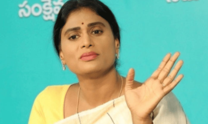 Telugu Cm Jagan, Viveka, Ycp, Ys Jagan, Ys Sharmila-Politics