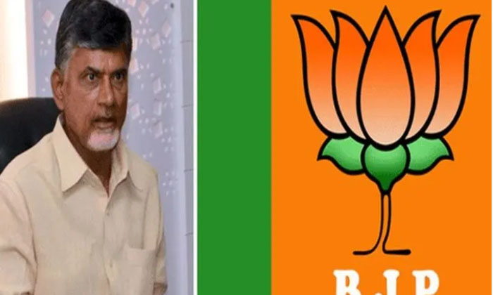 Telugu Alliance, Ap, Chandrababu-Politics