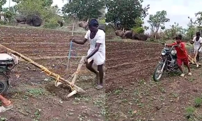  Telangana Farmer From Plows The Land With A Bike Due To Lack Of Bullocks Details-TeluguStop.com