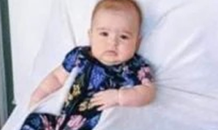  That's The Idea A Father's Master Plan To Take A Photo Of His Baby Is Super , Vi-TeluguStop.com