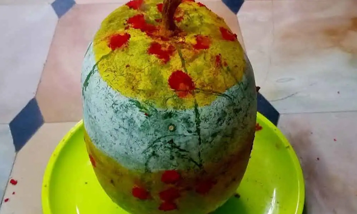 Telugu Aloe Vera, Fish Tank, Problems, Pumpkin, Symptoms, Tenkaya, Vastu, Vastu