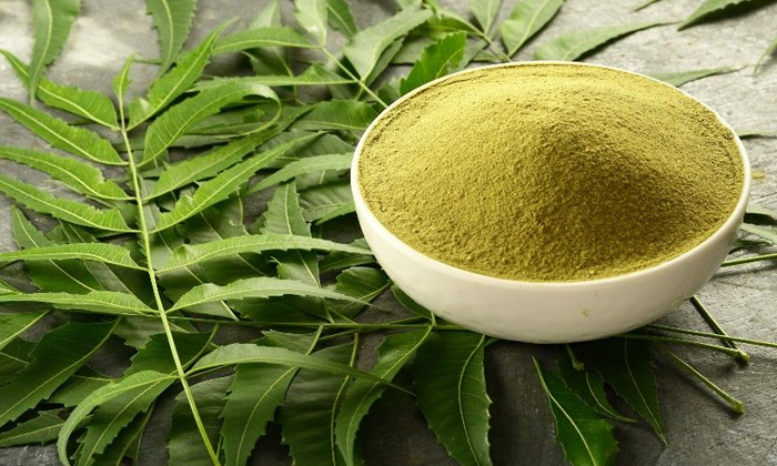 This Is The Best Remedy For Men Who Want Thick Hair! Thick Hair, Hair Care, Hair This Is The Best Remedy For Men Who Want Thick Hair! Thick Hair, Hair Care, Hair-TeluguStop.com