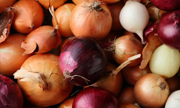 To Prevent The Onions From Rotting In The House These Tips Must Be Followed For-TeluguStop.com