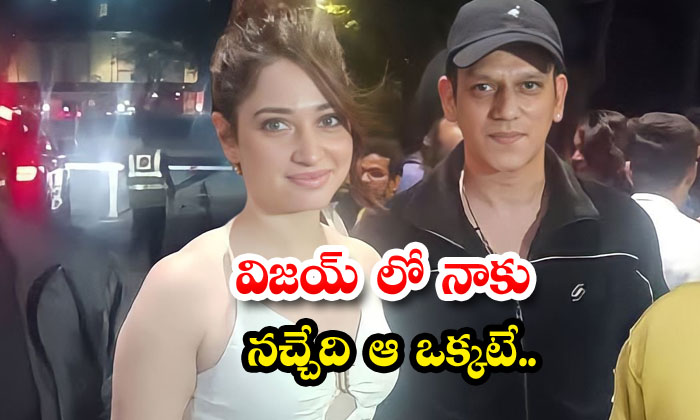 Tamanna Revealed In A Relationship With Vijay Varma , Vijay Varma , Tamanna , Tamanna Revealed In A Relationship With Vijay Varma , Vijay Varma , Tamanna ,-TeluguStop.com
