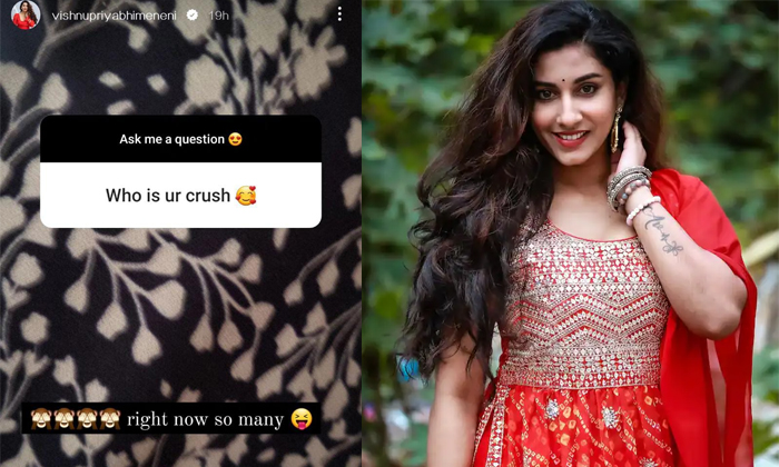  Anchor Vishnupriya Revealed About Her Crushes-TeluguStop.com