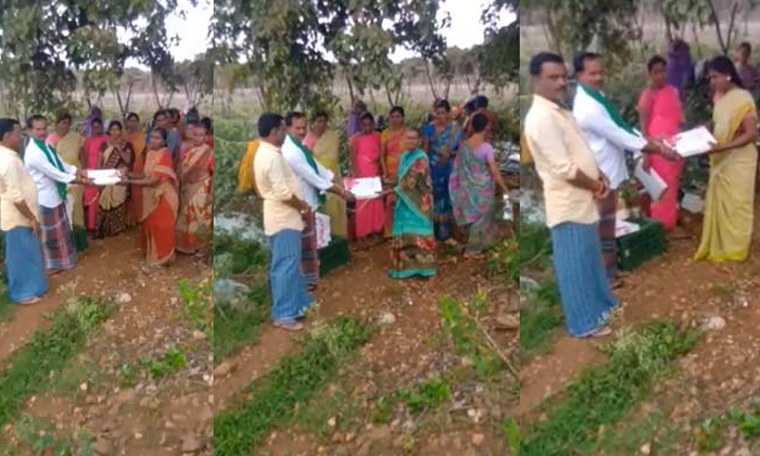  Annamayya District Tomato Farmer Offered New Clothes To Workers Details, Annamay-TeluguStop.com