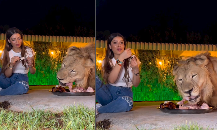  The Young Woman Ate The Food From The Lion's Plate.. What Did The Lion Do When H-TeluguStop.com