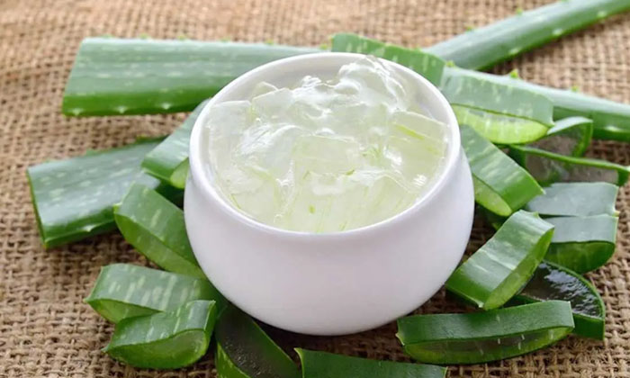 These Are The Important Ayurvedic Tips That We Find At Home, Fenugreeks, Health These Are The Important Ayurvedic Tips That We Find At Home, Fenugreeks, Health-TeluguStop.com