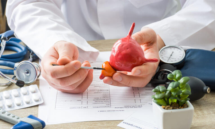 Telugu Cancer, Tips, Prostate, Prostate Cancer, Prostatecancer-Telugu Health Telugu Cancer, Tips, Prostate, Prostate Cancer, Prostatecancer-Telugu Health