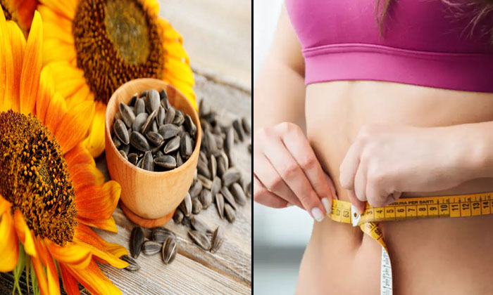  These Seeds Helps To Lose Weight Quickly! Weight Loss, Weight Loss Tips, Sunflow-TeluguStop.com