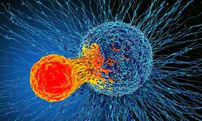 Telugu Beetroot, Pressure, Tips, Bp, Latest-Telugu Health