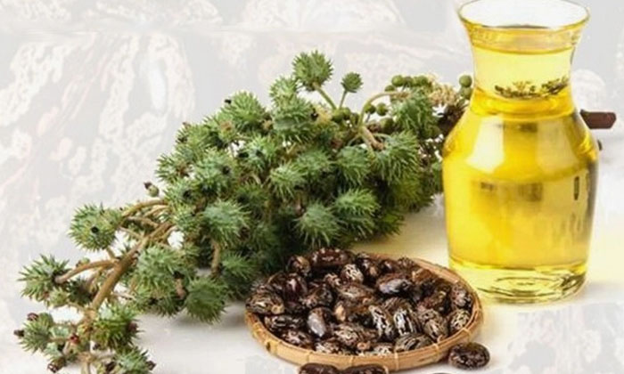 Telugu Oil, Flax Seeds, Care, Care Tips, Fall, Long, Thick-Telugu Health