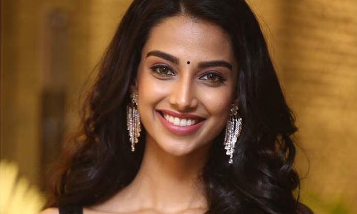  Meenakshi Chaudhary To Work With Varun Tej For Karuna Kumar Movie Here-TeluguStop.com