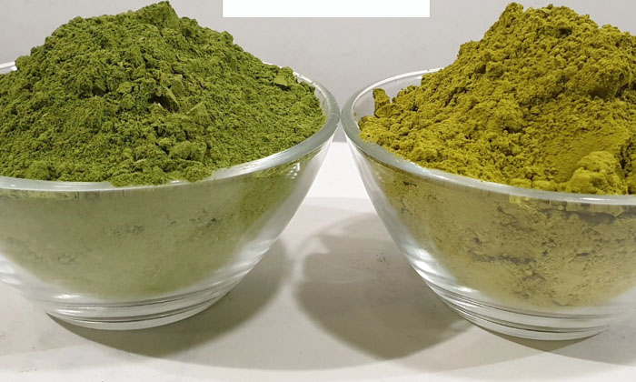  Best And Natural Pack For Avoiding White Hair! White Hair, Black Hair, Hair Car-TeluguStop.com