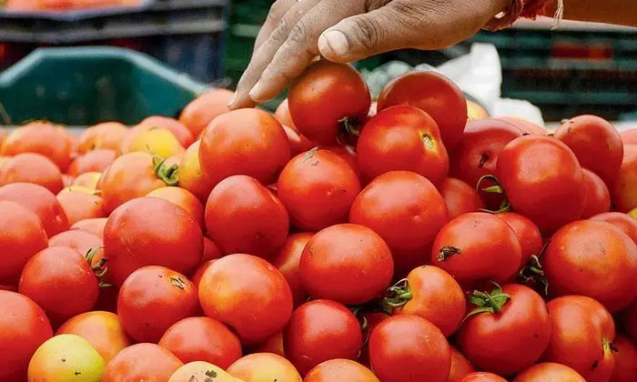  Shocking Trader Hired Bouncers To Avoid Stealing Tomatoes , Latest News, Viral-TeluguStop.com